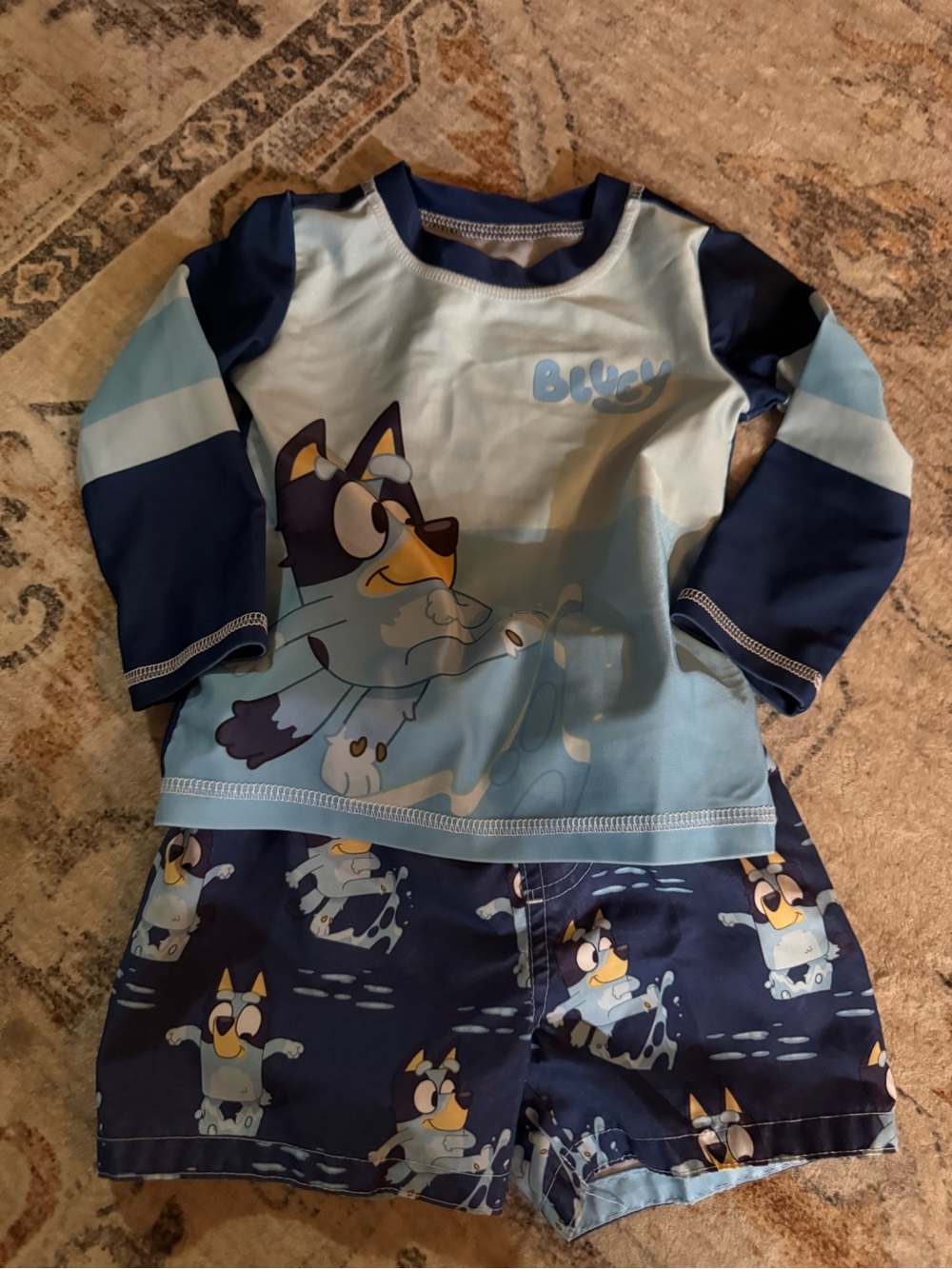 Bluey Swim Set with Cartoon Dog Print
